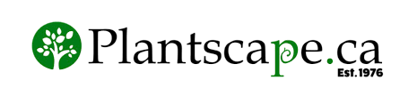 Plantscape